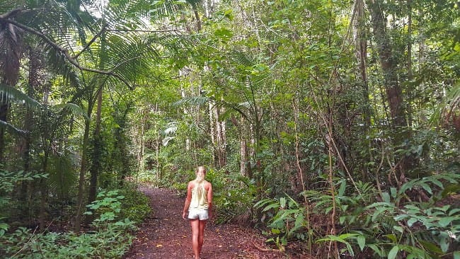 En la selva australia